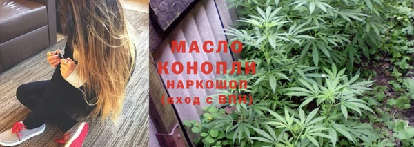 spice Богородицк