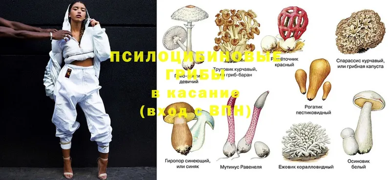 Галлюциногенные грибы ЛСД  даркнет сайт  Донской 